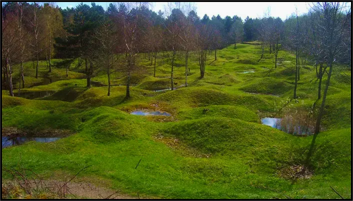 Ancien champs de bataille dans une forêt de Verdun